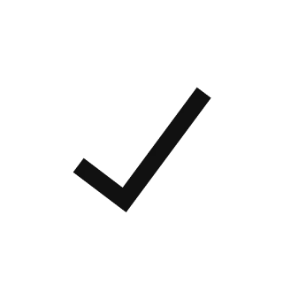 Check icon